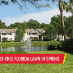 10 tips for a pest-free Florida lawn in spring - Pest control services in South Florida by Petri Pest Control