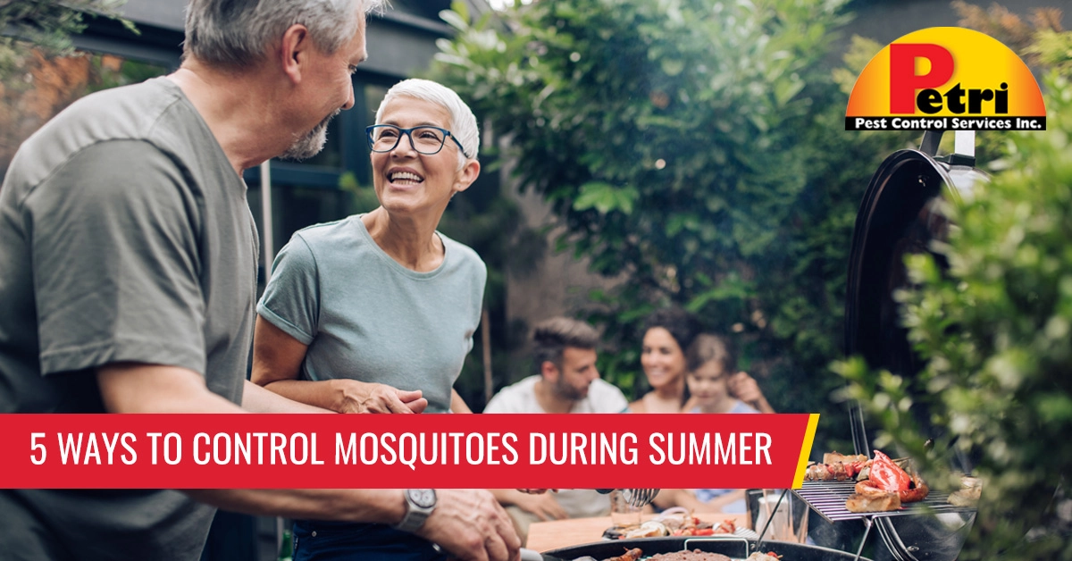 5 ways to control mosquitoes during summer - Pest control services in South Florida by Petri Pest Control