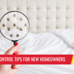 Best bed bug control tips for new homeowners - Pest control services in South Florida by Petri Pest Control