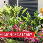 What's Eating MY Florida Lawn? Pest control services in South Florida by Petri Pest Control