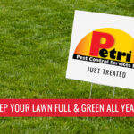Nice grass - keep your lawn full and green all year long - Pest control services in South Florida by Petri Pest Control