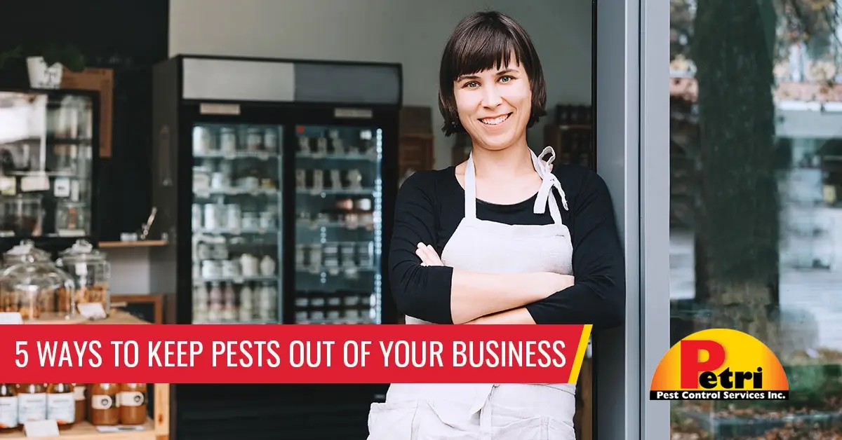 5 ways to keep pests out of your business - Pest control services in South Florida by Petri Pest Control