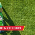 Winter lawn care in South Florida - Pest control services in South Florida by Petri Pest Control