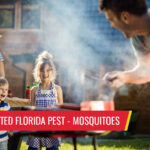 May's most wanted Florida pest: mosquitoes - Pest control services in South Florida by Petri Pest Control