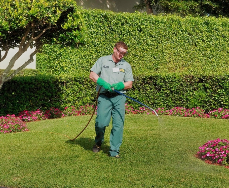 Lawn care services by Petri Pest Control in South Florida