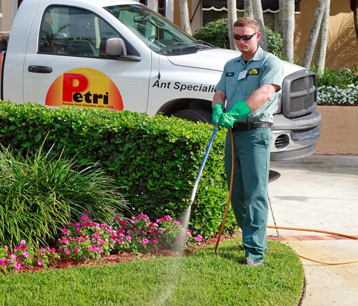 Lawn spraying and treatment services by Petri Pest Control in South Florida
