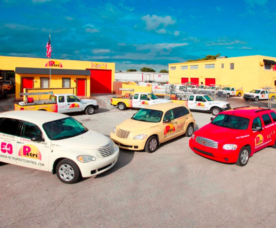 Petri Pest Control careers in South Florida