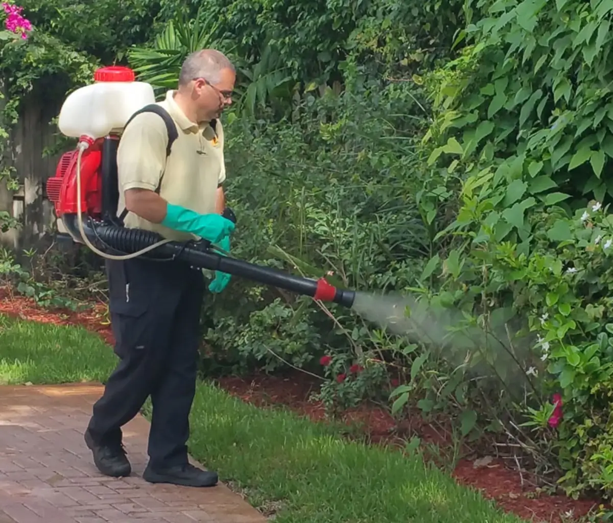 Mosquito Pest Control services by Petri Pest Control in South Florida