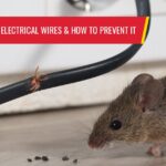 Why rodents chew electrical wires and how to prevent it - Pest control services in South Florida by Petri Pest Control