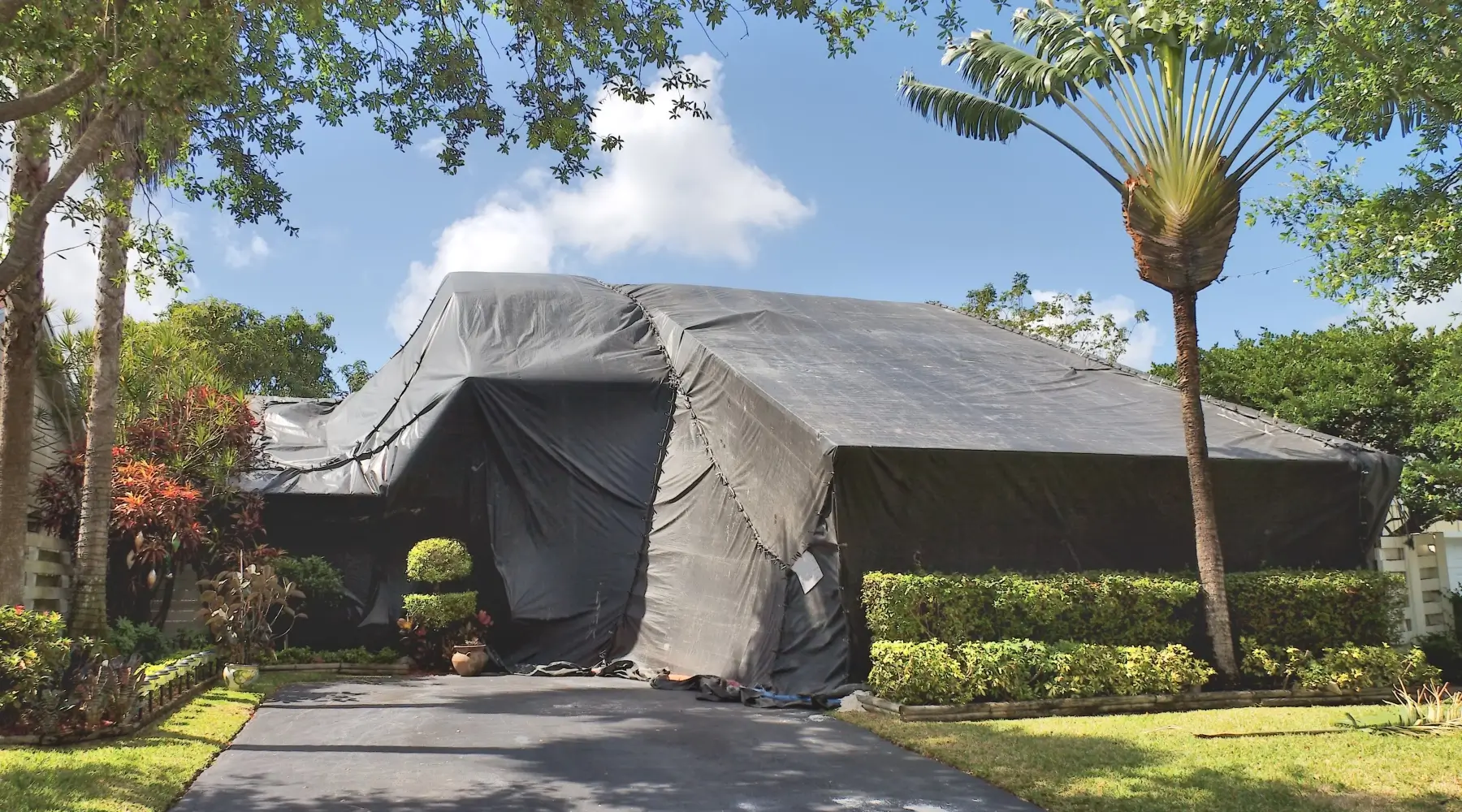 Termite Tenting by Petri Pest Control in South Florida
