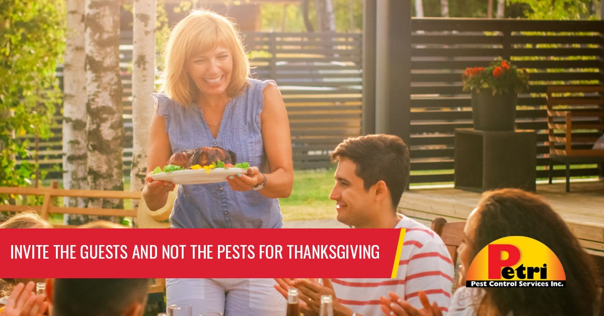 Invite The Guests And Not The Pests For Thanksgiving Dinner This Year by Petri Pest Control in South Florida
