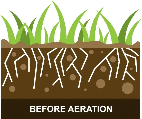 Grass and soil illustration showing a lawn before Aeration services by Petri Pest Control in South Florida