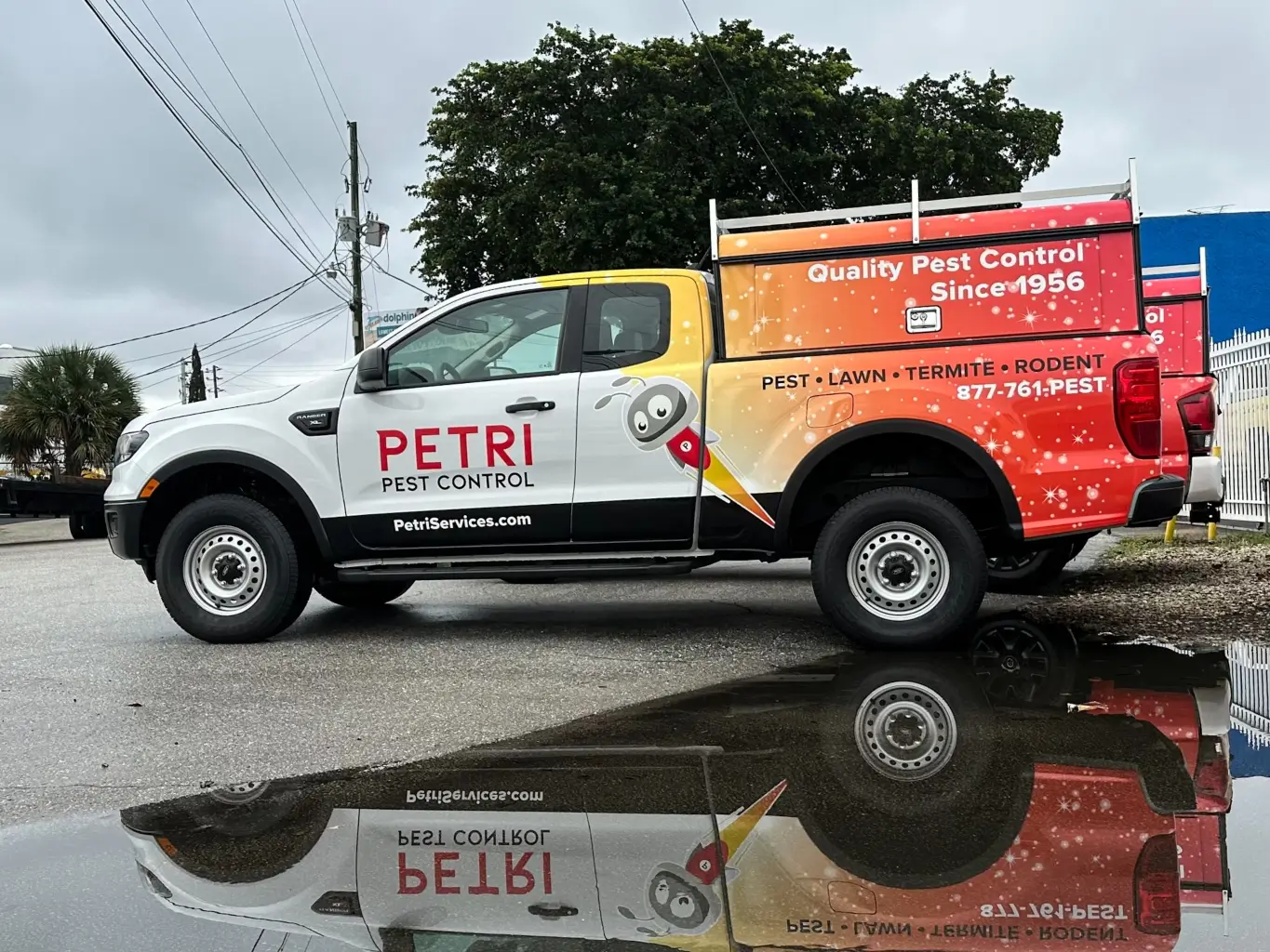 Lawn and shrub care services by Petri Pest Control in South Florida