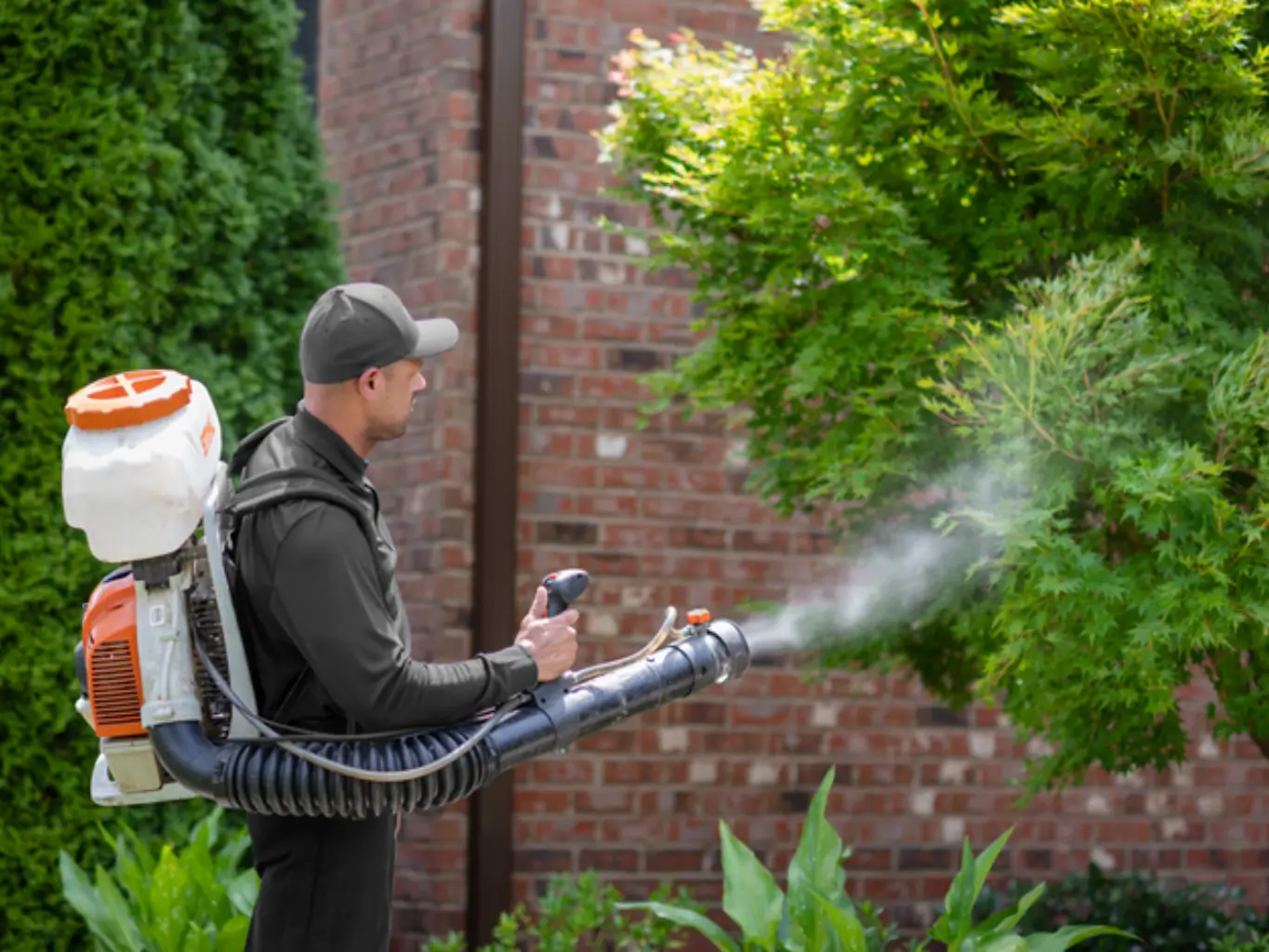 Mosquito Pest Control services by Petri Pest Control in South Florida
