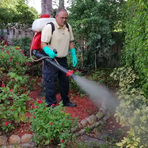 Mosquito control in Lake Worth FL by Petri Pest Control
