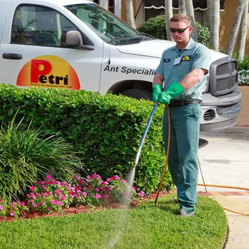 Lawn and shrub care in Fort Lauderdale FL by Petri Pest Control