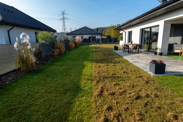 Liquid vs Mechanical Lawn Aeration: Which Should You Choose? by Petri Pest Control in South Florida