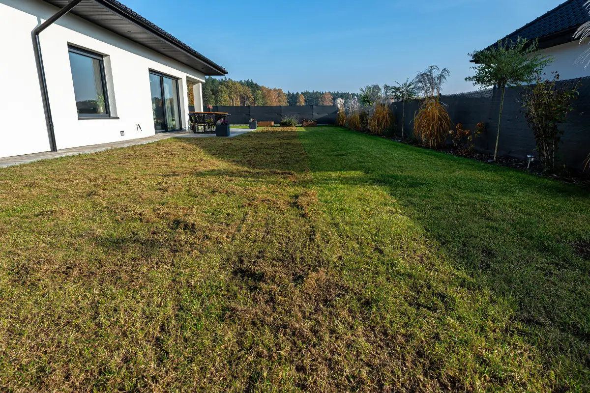 Liquid vs Mechanical Lawn Aeration: Which Should You Choose? by Petri Pest Control in South Florida