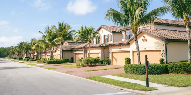 Petri Pest TV Commercials by Petri Pest Control in South Florida