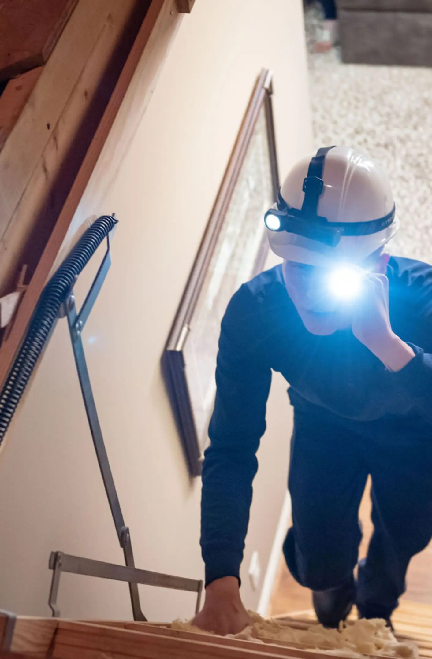 Petri Pest Control wildlife inspection in South Florida