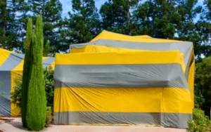whole-house tented termite fumigation in Florida