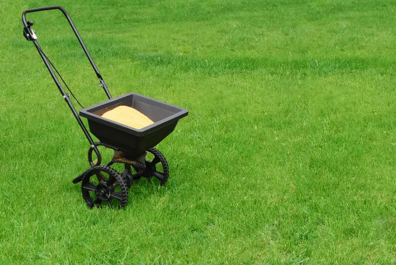 When Should I Fertilize My Lawn in Florida? by Petri Pest Control in South Florida