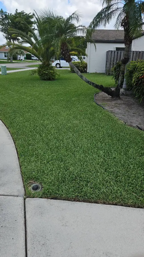 petri26-lawn5