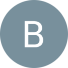 Brian P. Avatar